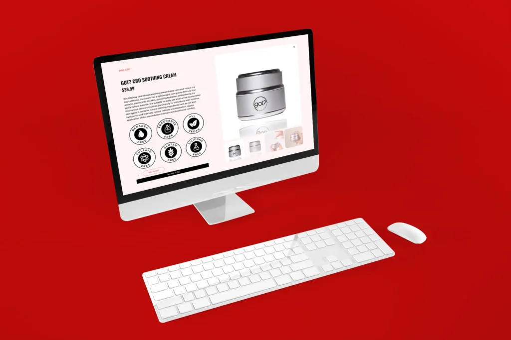 E-commerce website design services shown on a digital computer screen