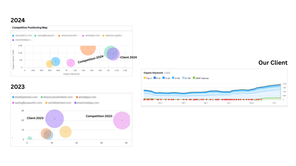 Houston SEO Agency results